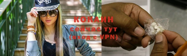 mdpv Заводоуковск