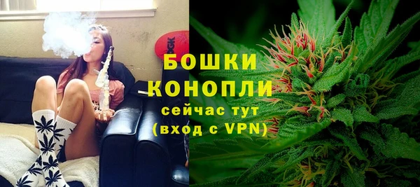 mdpv Заводоуковск