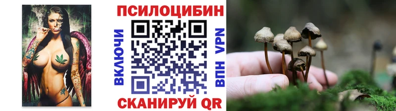 Псилоцибиновые грибы MAGIC MUSHROOMS  Яранск 